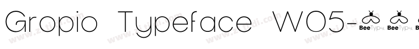 Gropio Typeface W05字体转换
